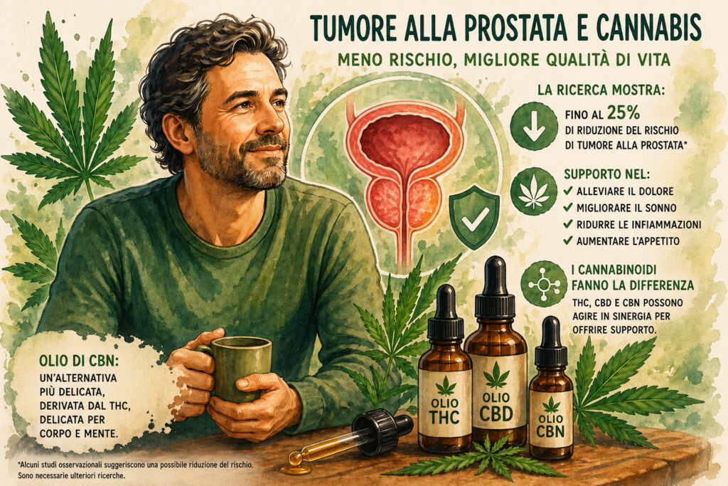 Rappresentazione illustrata della prostata e dei principali cannabinoidi presenti nella cannabis, tra cui THC, CBD e CBN. L'immagine accompagna un approfondimento sul ruolo del sistema endocannabinoide e sulle più recenti ricerche dedicate alla salute prostatica.